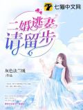 二婚逃妻请留步