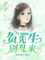 贺先生,别乱来