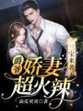 爵爷豪宠宝贝妻