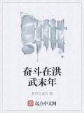奋斗在洪武末年