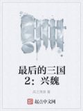 最后的三国2：兴魏