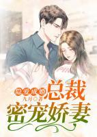 隐爱成婚:总裁密宠娇妻