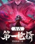万古第一枪婿