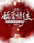 清穿：福晋稳住！四爷给你挣后位