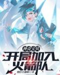 神奇宝贝：开局加入火箭队