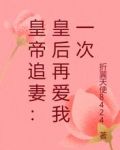 皇帝追妻：皇后再爱我一次