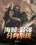 海贼：最强分身系统