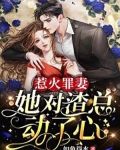 惹火罪妻：她对渣总动了心