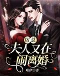 厉总，夫人又在闹离婚