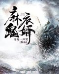 麻衣鬼婿