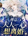 傅总，夫人一心想离婚
