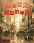 四合院之火红的年代
