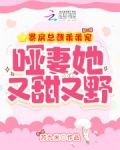暴戾总裁乖乖宠，哑妻她又甜又野