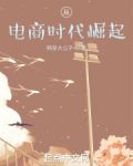 从电商时代崛起