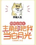 明明是炮灰，主角却把我当白月光