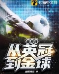 世界杯：从英冠到金球