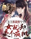 女主愚蠢傻兮兮，女配却是个疯批