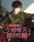 民国奇探之少帅每天都在吃醋