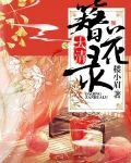 大清簪花录