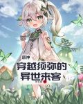 原神：穿越须弥的异世来客