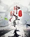 神纹至尊