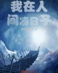 我在人间凑日子