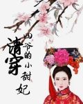 清穿：四爷的小甜妃
