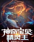 神奇宝贝：精灵王