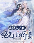 龙尊仙婿免费阅读