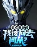 变成赛迦的我该何去何从？