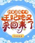 抄家流放十年，王妃她又杀回来了