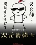 崩坏的骑士