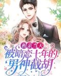 相亲当天，被暗恋十年的男神截胡