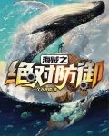 海贼之绝对防御