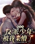 阴沉沉反派少年被我亲懵了