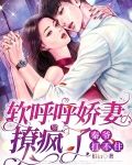 软呼呼娇妻撩疯了，秦爷扛不住