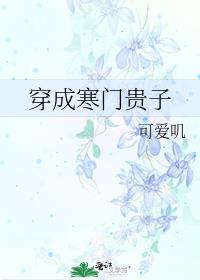 穿成寒门贵子