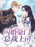 闪婚豪门总裁上司江舒傅
