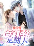闪婚后合约老公宠翻天沈倾城