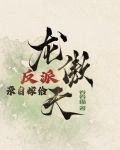 反派亲自嫁给龙傲天