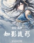 全职高手：如影随形
