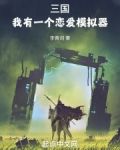 三国：我有一个恋爱模拟器