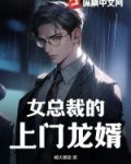 女总裁的上门龙婿叶凡