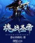 魂战圣帝