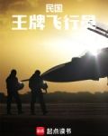 民国：王牌飞行员