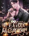 夫人重生后摆烂，陆总离婚吧