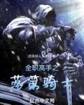 全职高手之落第骑士
