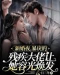 新婚夜，暴戾的残疾大佬让她容光焕发