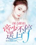帝少爆宠娇妻霸上表