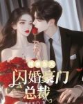 相亲当天闪婚豪门总裁陆绍倾